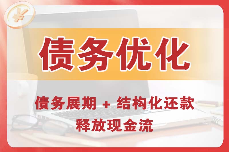 临沧债务优化